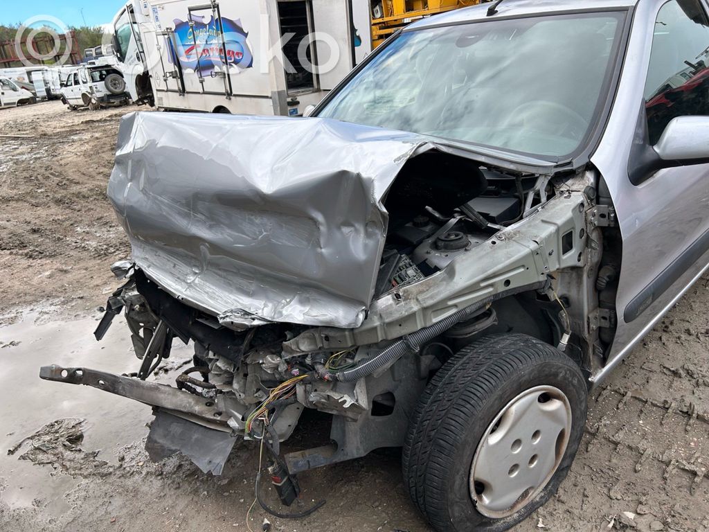 Xsara Xsara, Xsara Picasso  0139FP