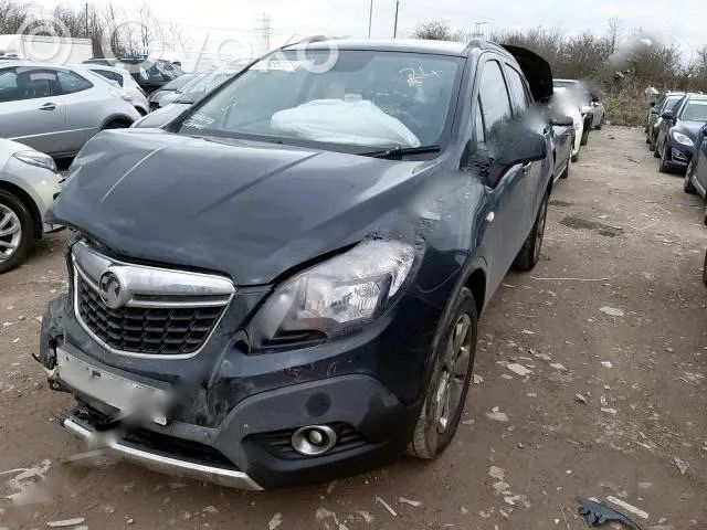 Mokka Mokka  55570068