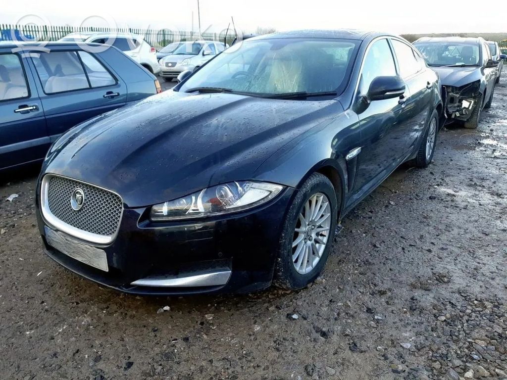 XF X250 XF  RG52098000