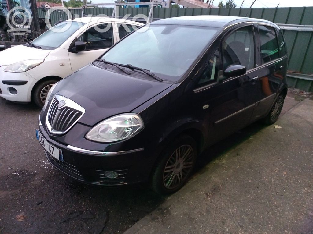 Musa Musa  55208133