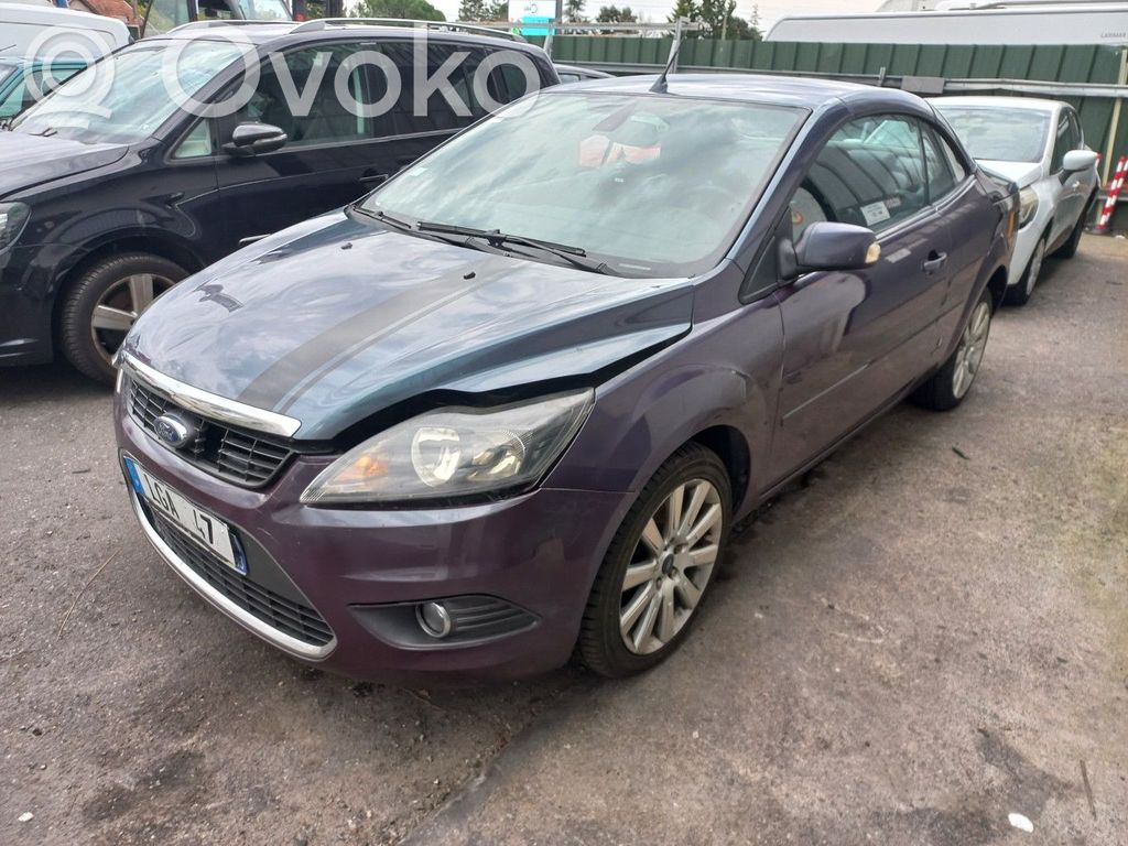 Focus Focus  1708682