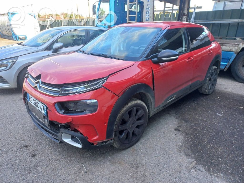 C4 Cactus C4 Picasso, Grand Picasso, Aircross, Cactus  1635037780