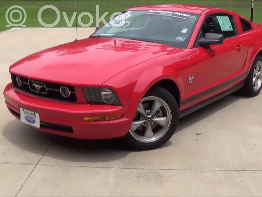 Mustang V Mustang