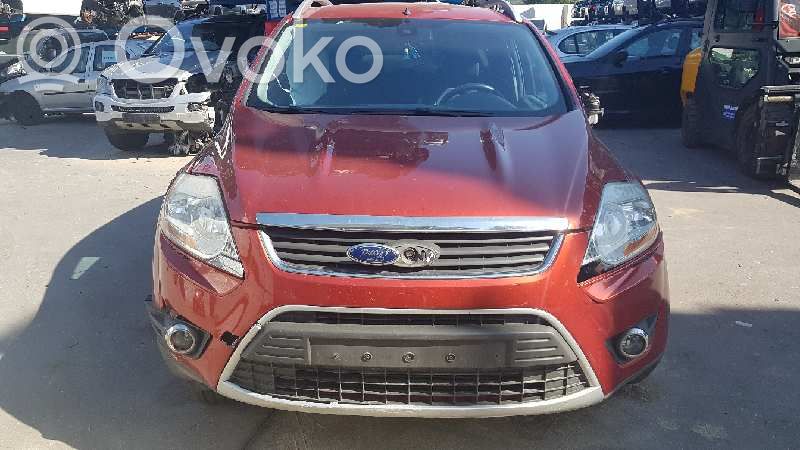 Kuga I Kuga  1551678