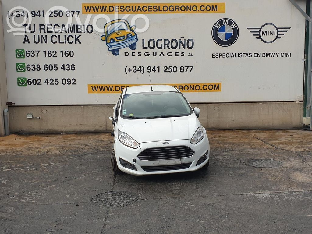 Fiesta Fiesta  F1B112B591BB