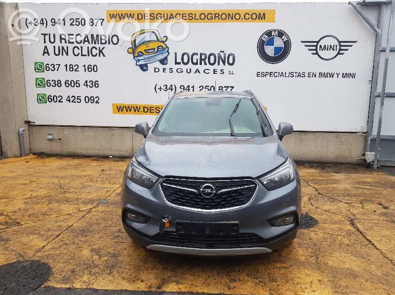 Mokka X Mokka  42469716