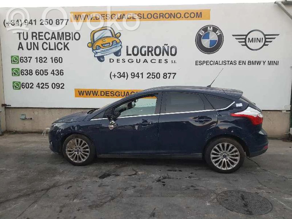 Focus Focus  1750276