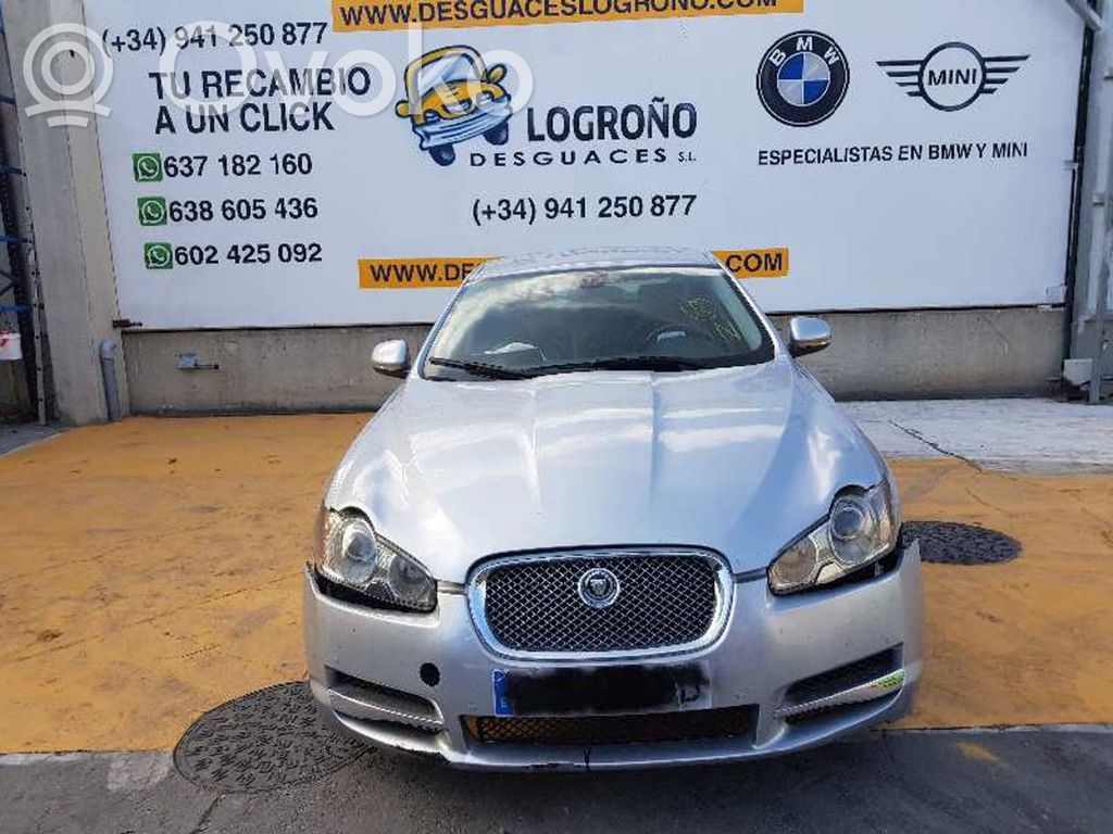 XF X250 XF  7W9319C089DA