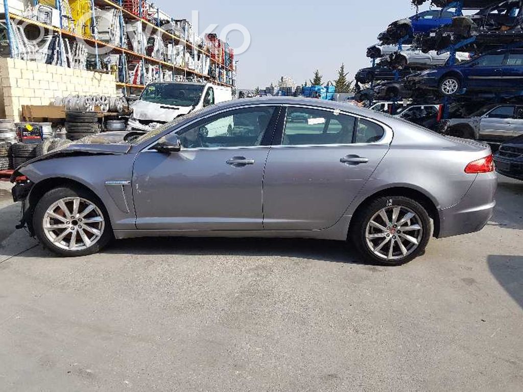 XF X250 XF  AF6314B529AE