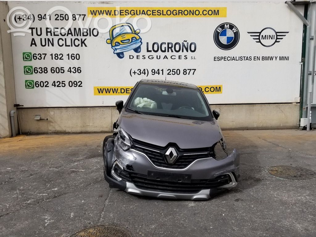 Captur Captur  254113300R