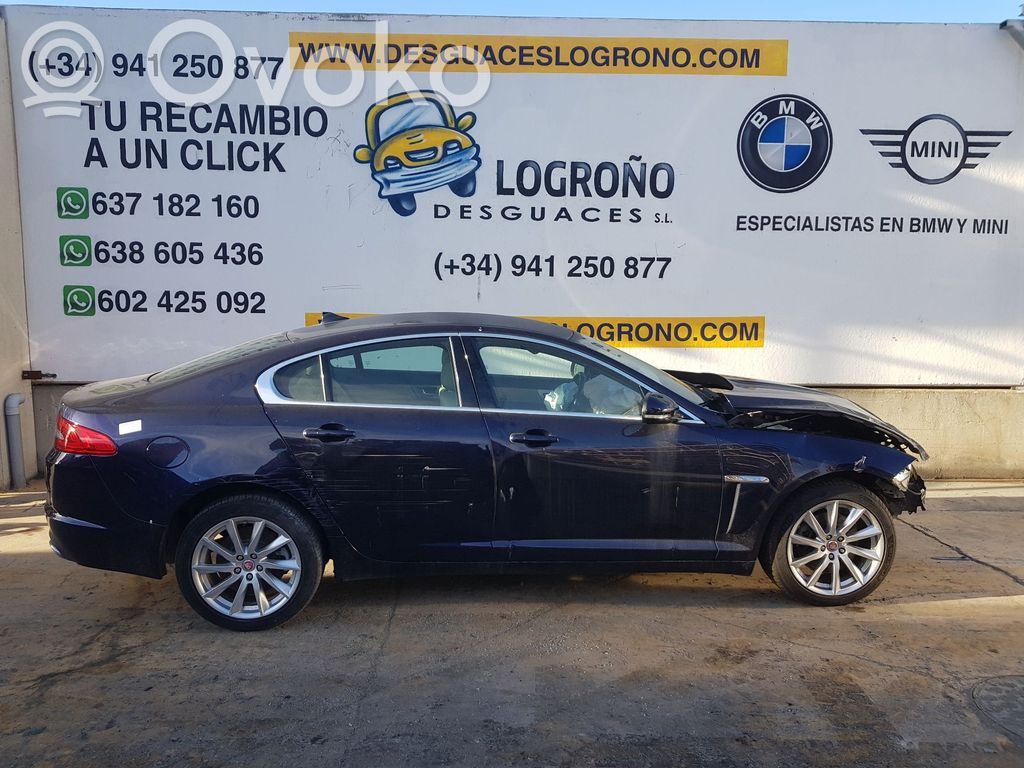 XF X250 XF  CX239D375BA