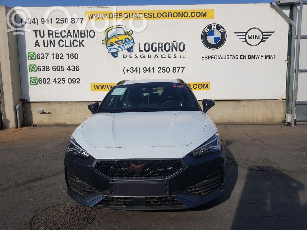 Leon Leon  5FA807889C