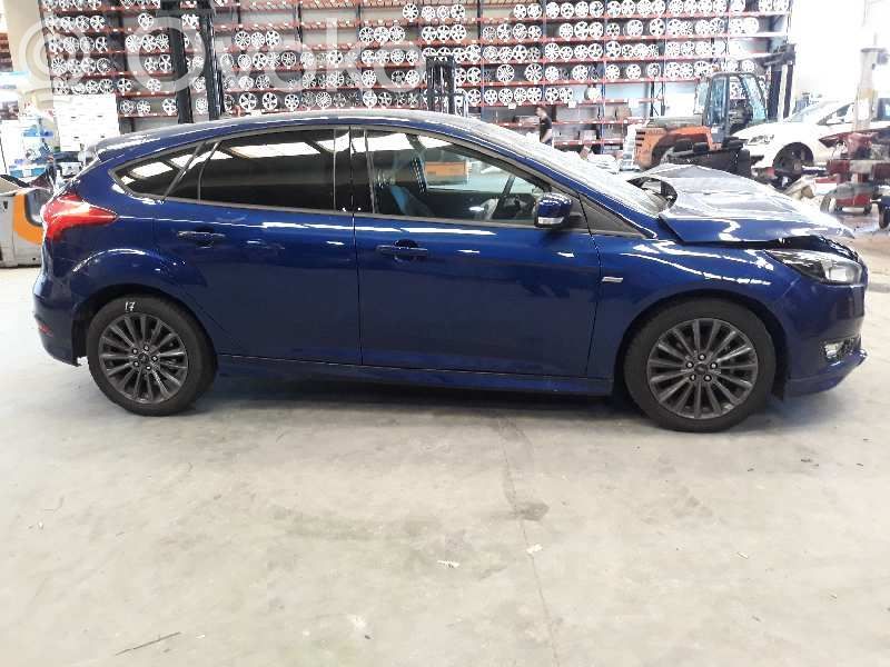 Focus Focus  2046987