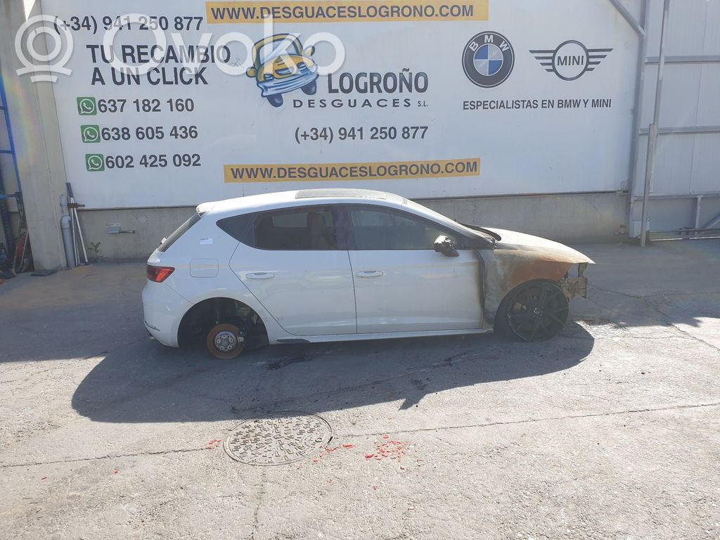 Leon (5F) Leon  10285150
