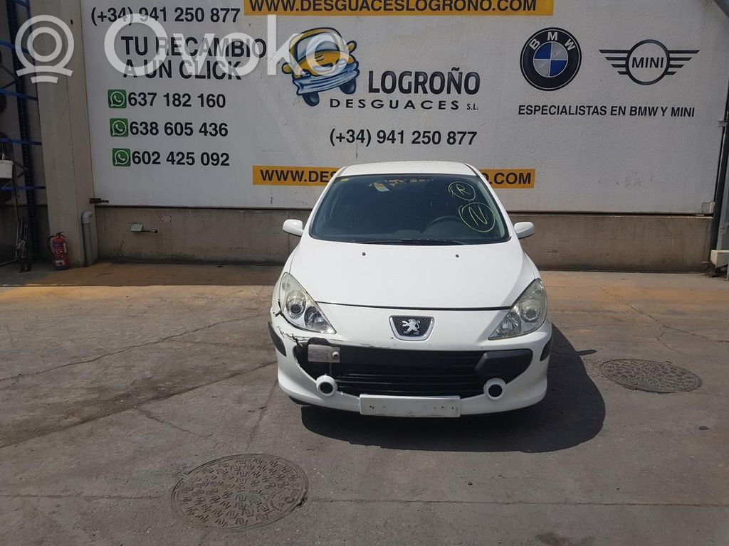 307 307  9661773380