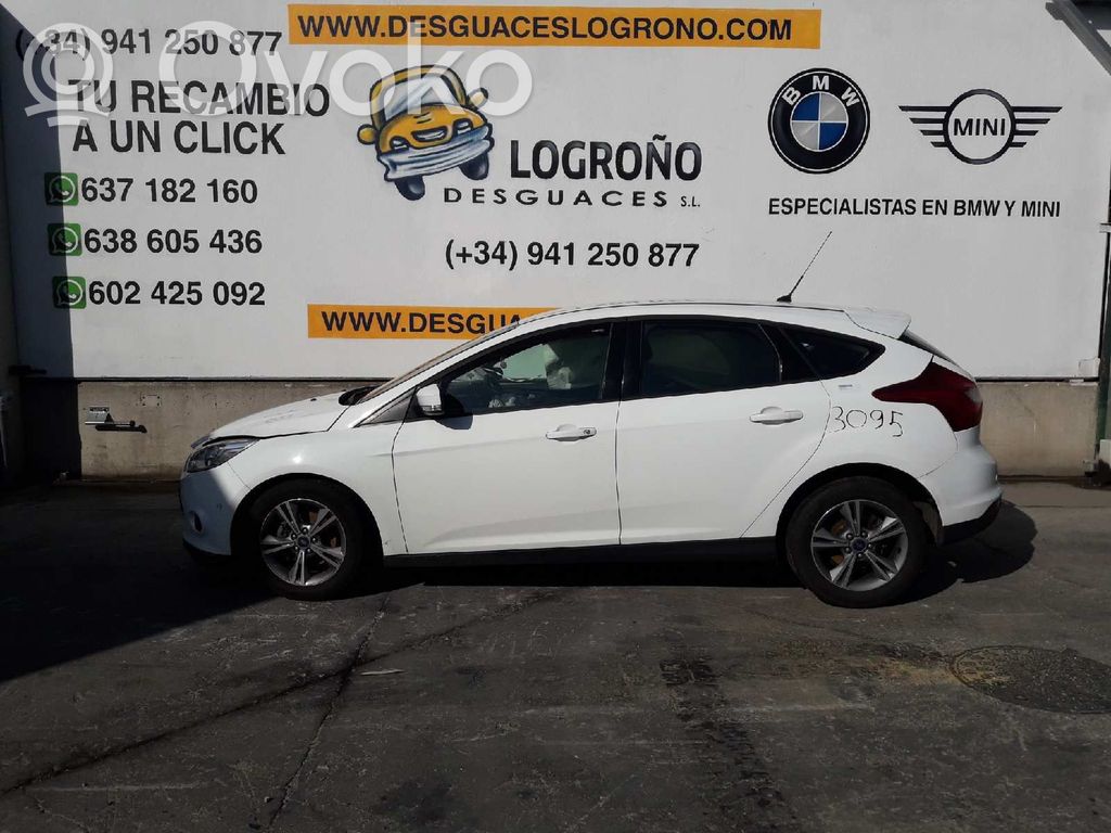 Focus Focus  2067563