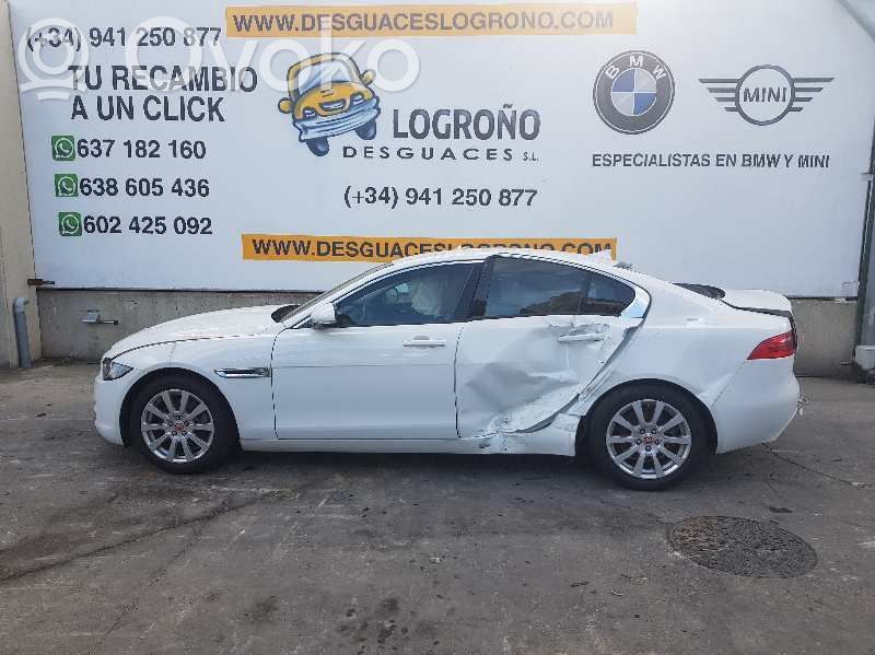 XE XE  T2H17175