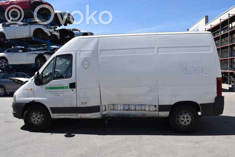 Ducato Ducato  1340166080