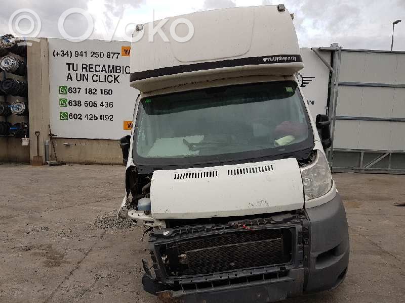 Ducato Ducato  1372154080