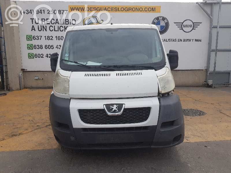Boxer Boxer  4401J7