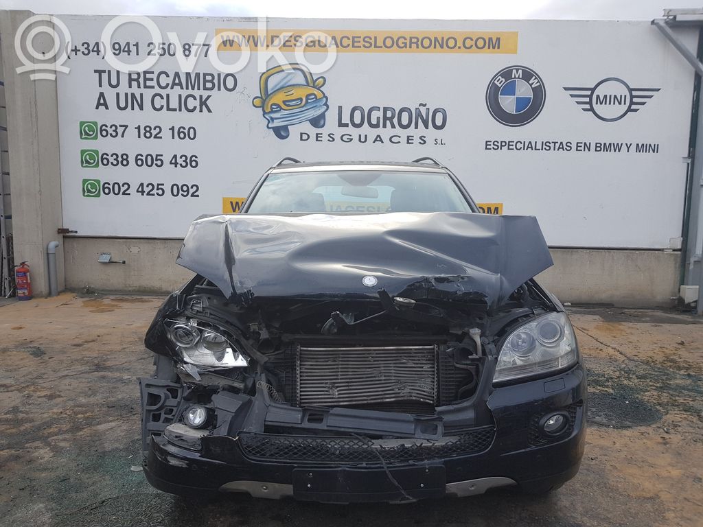 ML W164 ML-class, AMG (W163, W164, W166)  A1648200385