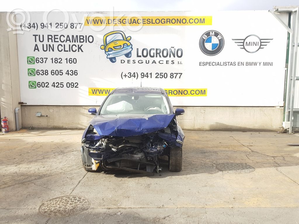 Focus Focus  1883869