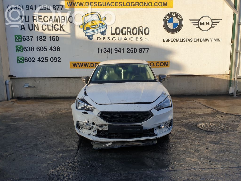 Leon Leon  5FA854871F