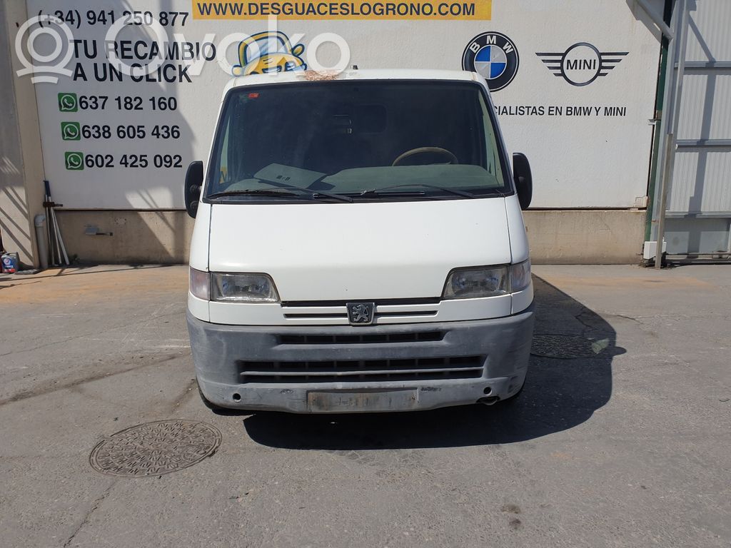 Boxer Boxer  9136A7