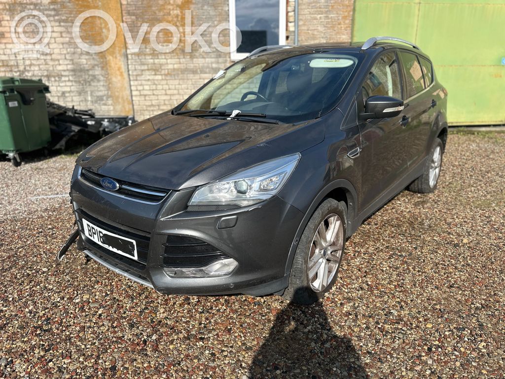 Kuga II Kuga  CJ5T14B673AS