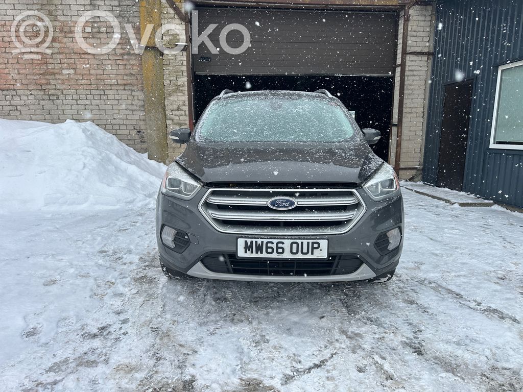 Kuga II Kuga