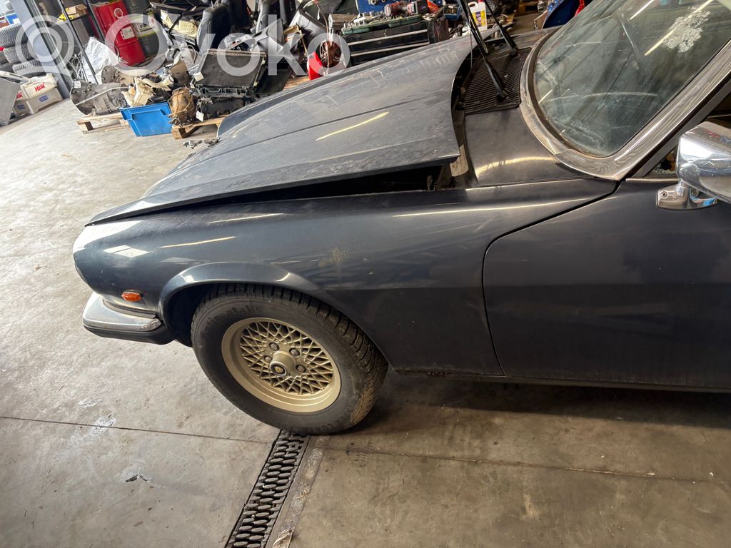 XJS XJS