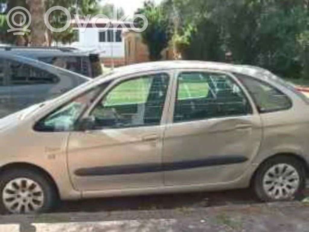 C4 I Picasso C4 Picasso, Grand Picasso, Aircross, Cactus  DESNUDA
