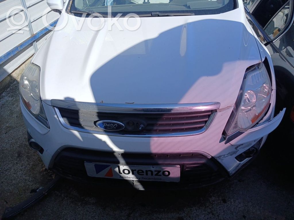 Kuga I Kuga