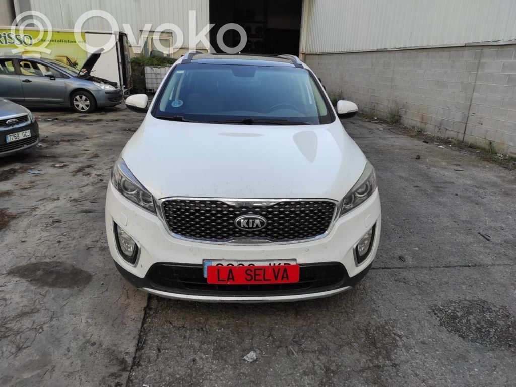 Sorento Sorento  92102C5100