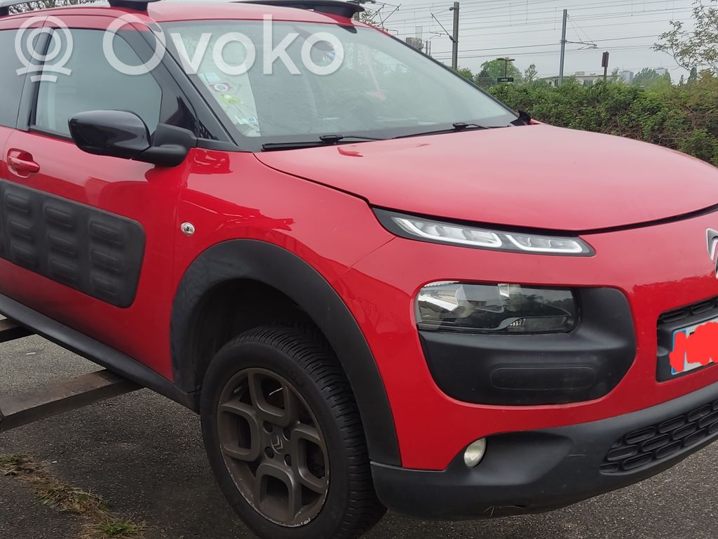 C4 Cactus C4 Picasso, Grand Picasso, Aircross, Cactus  34138520
