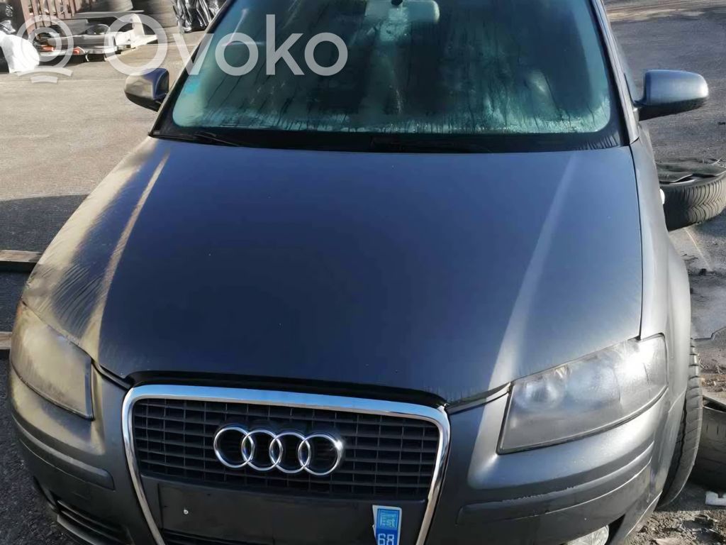 A3 S3 A3 Sportback 8P A3, S3  8P1941531Q