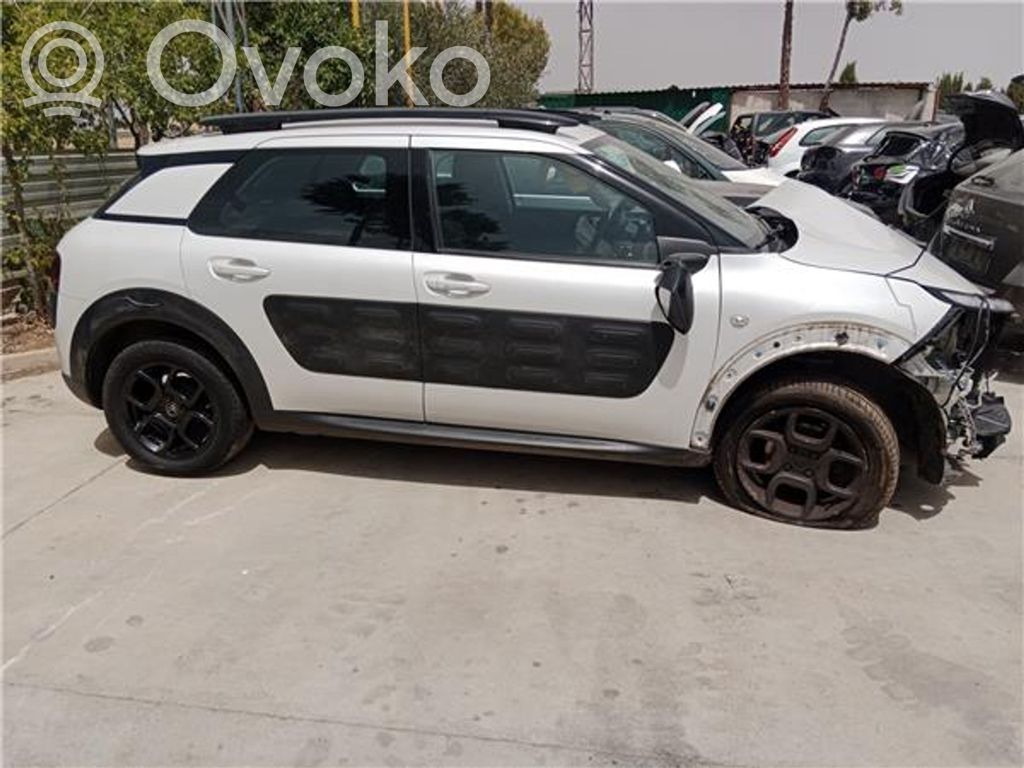 C4 Cactus C4 Picasso, Grand Picasso, Aircross, Cactus  BH02
