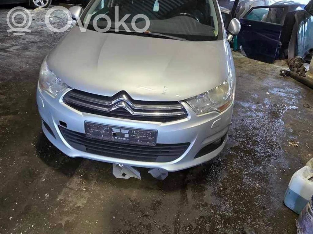 C4 II C4 Picasso, Grand Picasso, Aircross, Cactus  0265951861