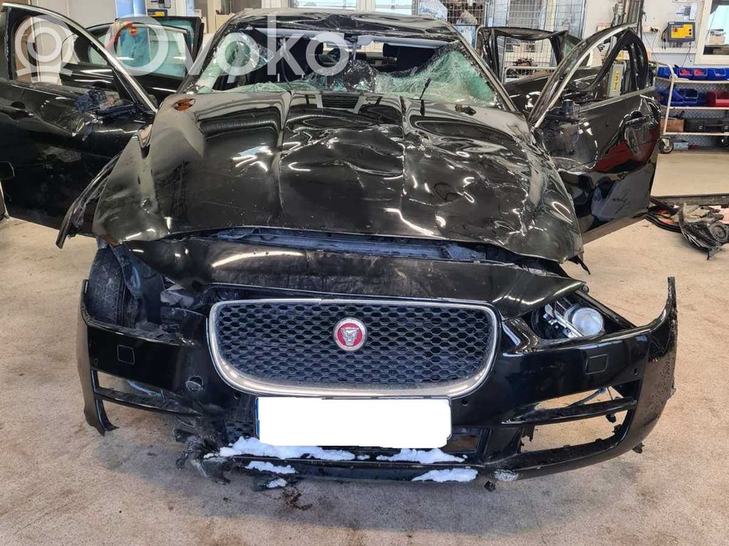XE XE  CM29083