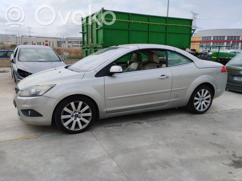 Focus Focus  084311181R
