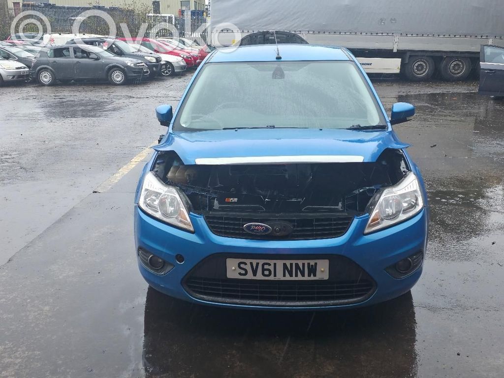 Focus Focus  1441256