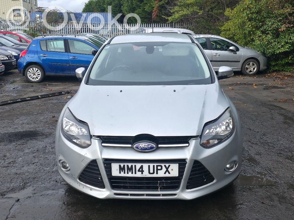 Focus Focus  11375000