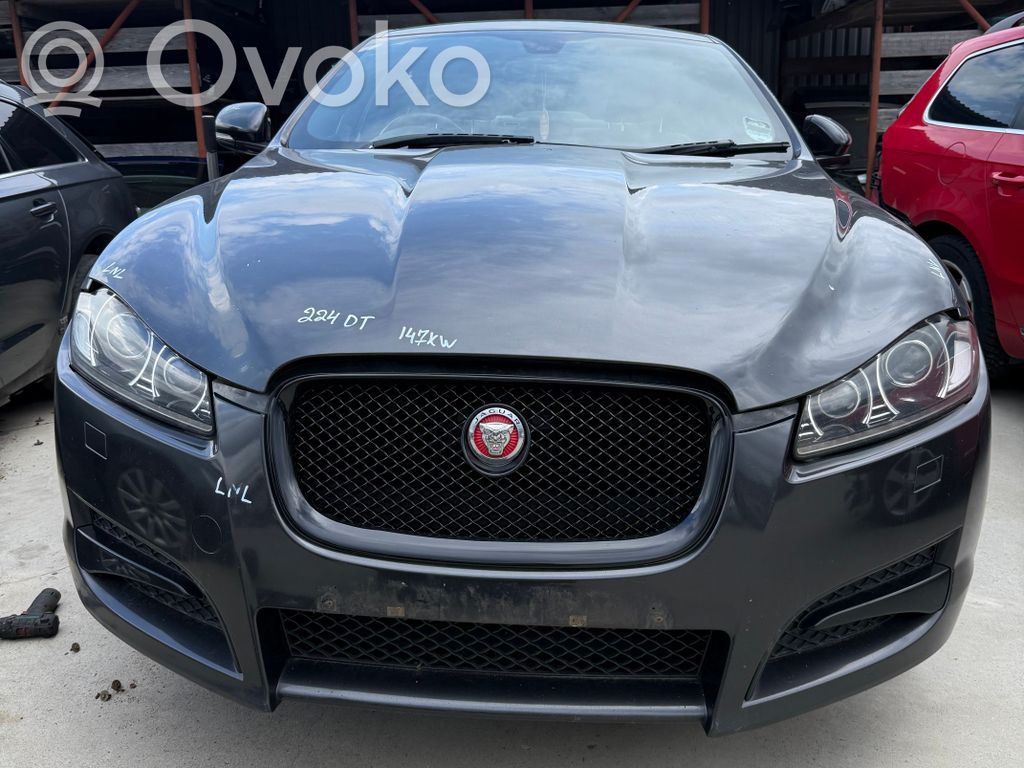 XF X250 XF  AX23045H72A
