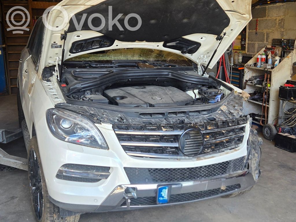 ML W166 ML-class, AMG (W163, W164, W166)  A1667201202