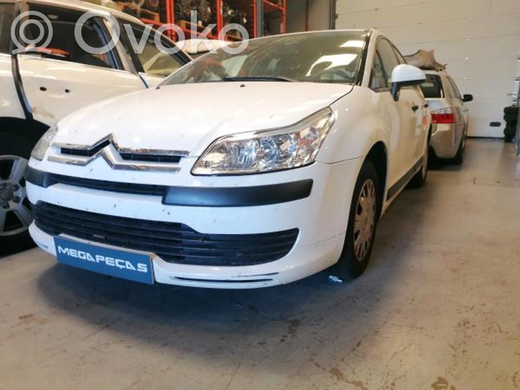 C4 I C4 Picasso, Grand Picasso, Aircross, Cactus