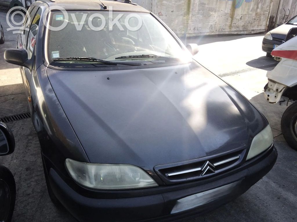 Xsara Xsara, Xsara Picasso