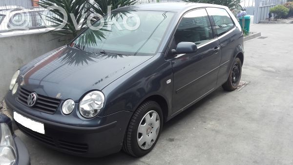 Polo IV 9N3 Polo