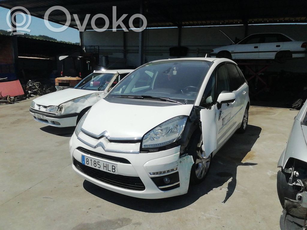C4 II C4 Picasso, Grand Picasso, Aircross, Cactus  265951829
