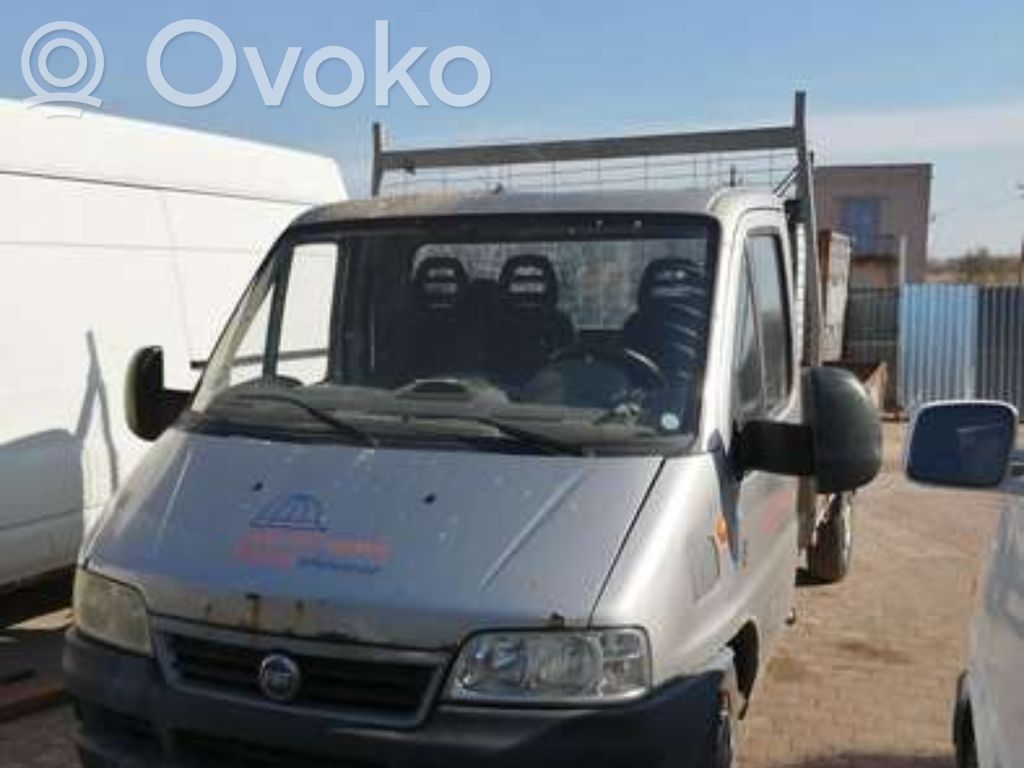 Ducato Ducato  55196181