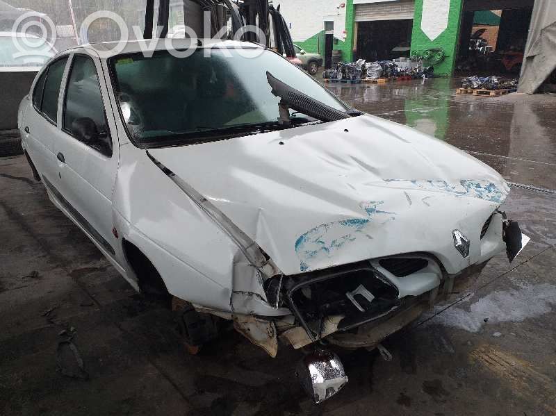 Megane I Megane  2541983C